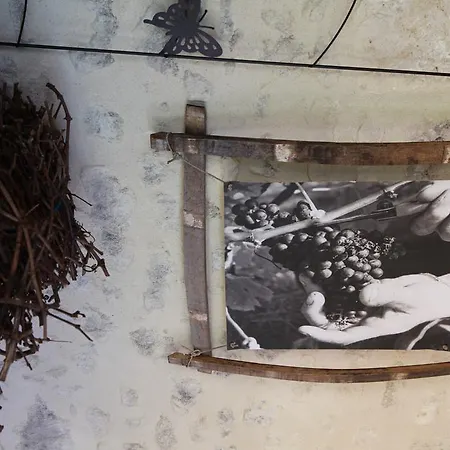 Casa de Férias Oeno-lodge