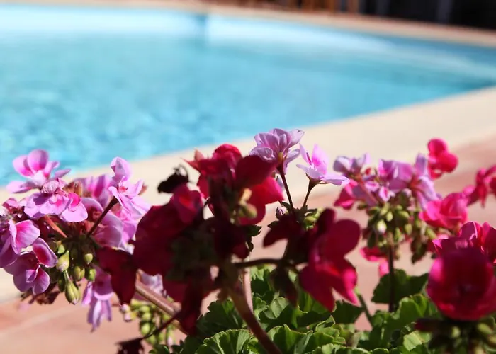 Oeno-lodge Saint-Germain-dʼEsteuil