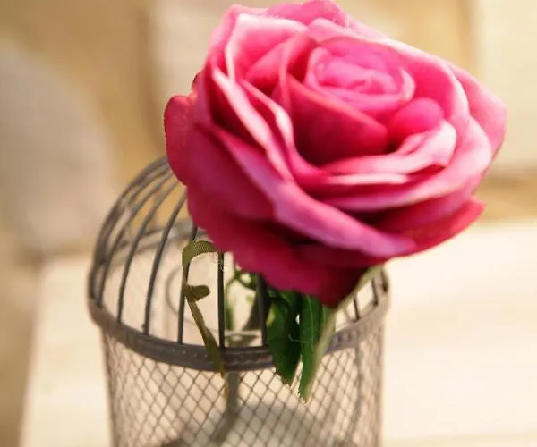 Oeno-lodge Saint-Germain-dʼEsteuil