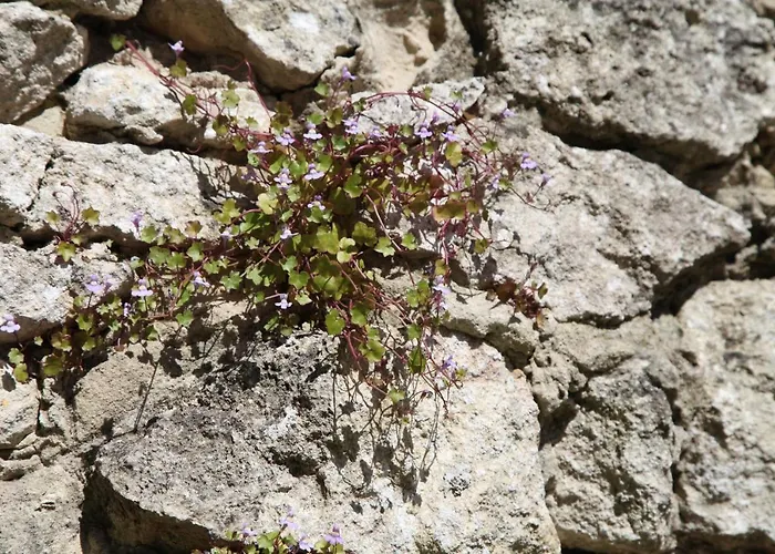 Oeno-lodge Σπίτι διακοπών Saint-Germain-dʼEsteuil
